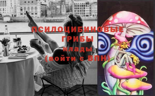 дурь Липки