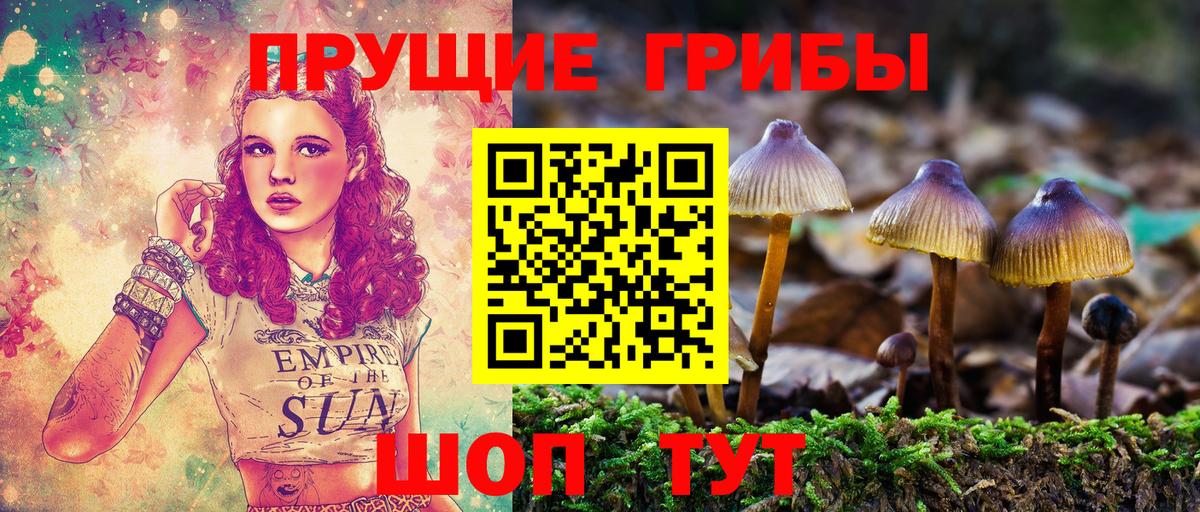 Псилоцибиновые грибы Psilocybine cubensis  Вход с VPN  Псилоцибиновые грибы прущие грибы  Ульяновск 