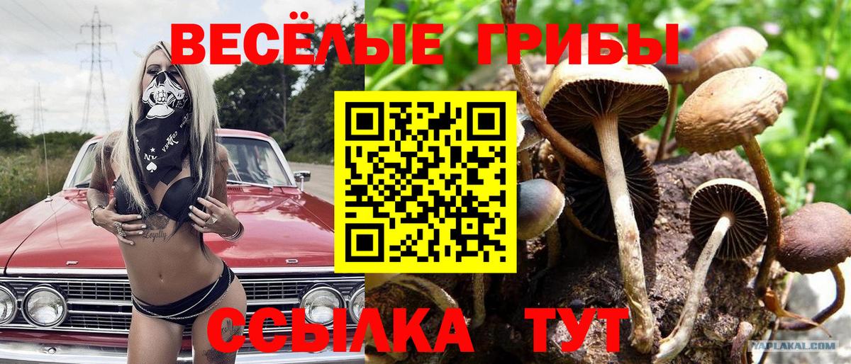 Галлюциногенные грибы мицелий Ульяновск